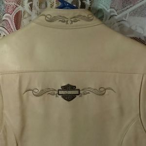 Moto Jacket (Well Loved)